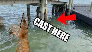 This Is Why You Fish The Heart Of The Dock Saltwater Fishing With Live Shrimp [upl. by Yv]