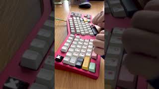 LZ Erghost V2  Ultraglide Cherry Blacks  Alu Plate  Typing test [upl. by Modnar]