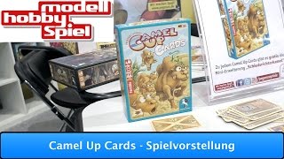 Camel Up Cards EggertPegasus Spiele  Spielvorstellung MHS  Leipzig 2016 [upl. by Inigo]