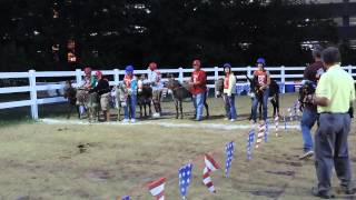 Donkey Races at the 2014 DuPage County Fair [upl. by Hartley]