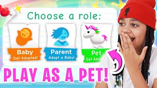 How To Play AS A PET In Adopt Me Roblox [upl. by Wyatan113]