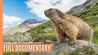 Epic Landscapes of Switzerland  A Journey Through Nature  Full Documentary [upl. by Neom]