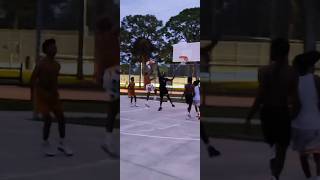 Flot game 🔥🔥🔥 basketball [upl. by Goat456]