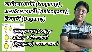 What is Isogamy Anisogamy Oogamy  conjugation amp Syngamy আইসোগ্যামী এনাইসোগ্যামী উগ্যামী কনজুগেশন [upl. by Richard341]