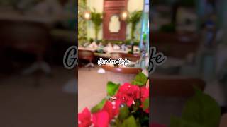 Gardin Cafe  Cafe in Delhi coffee travel DelhiCafes coffeetime [upl. by Jolyn176]