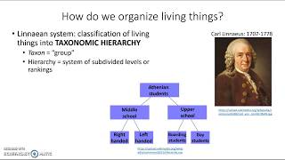 Taxonomy [upl. by Weld]
