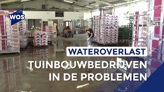 Wateroverlast in De Lier [upl. by Antrim]