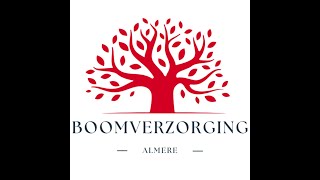 De voordelen van professionele boomverzorging [upl. by Imoyik875]