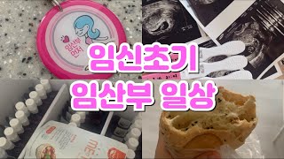 초기임산부 일상  임산부 브이로그  임신초기두통 입덧 먹덧 임신초기변비 [upl. by Kimitri]