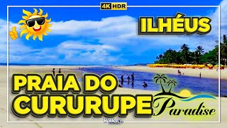 PRAIA do CURURUPE um lugar INCRÍVEL em ILHÉUS  SUL DA BAHIA🌞🏖 [upl. by Gorrian]