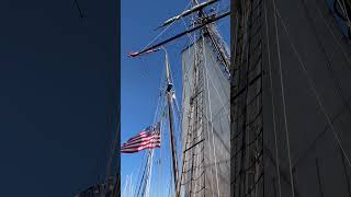 Urbanna Oyster Festival 2023 travel tallship [upl. by Bashee]