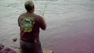 shad fishing the kennebec river [upl. by Reprah]