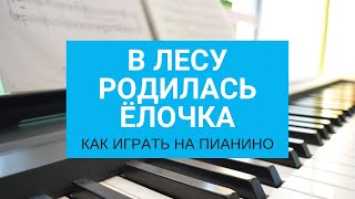 В лесу родилась ёлочка на пианино Как играть на пианино quotВ лесу родилась ёлочкаquot [upl. by Alikahs826]