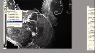 Using Photometrics Cameras in Leica MMAF Software [upl. by Ellertal776]