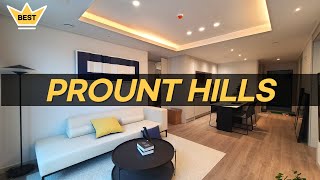 Pyeongtaek Prount Hills a new apartment complex located right next to Osan Air Base [upl. by Kinsley597]