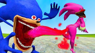 Shin Sonic Tapes EXPERT Shares Top Family Battle Techniques in Garrys Mod [upl. by Joby]