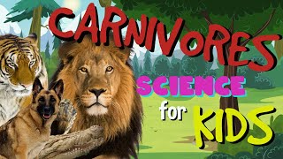 What is a Carnivore  Science for Kids [upl. by Towland985]