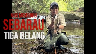 CASTING STRIKE SEBARAU BORNEO amp BUJUK [upl. by Montgomery802]