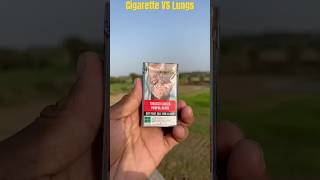 Cigarette vs lungs Experiment shorts facts ytshorts cigarette [upl. by Dowdell468]