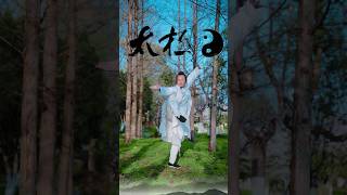 Wudang Tai Chi boxing demonstrationtaichi chineseculture taichichuan kongfu healthylifestyle [upl. by Shawn803]