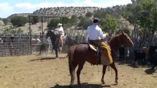 2014 Boyd Ranch Branding [upl. by Sadoff]