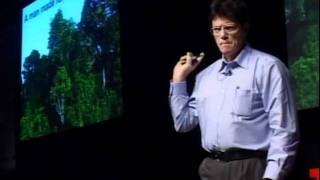 TEDxPearlRiver  Willie Smits  Conservation [upl. by Epoh451]