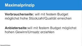 Maximalprinzip und Minimalprinzip  Definition und Unterschied erklärt [upl. by Belsky]