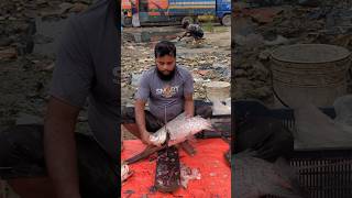 Amazing Big Katla Fish Cutting Skills trapping fishcutting fishcuttingskills youtubeshorts [upl. by Huebner]