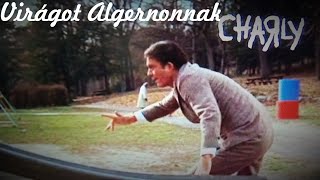 Charly  Virágot Algernonnak 1968  Oscarwinning Scifi drama  Cliff RobertsonClaire Bloom [upl. by Readus]