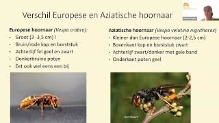 Webinar Aziatische hoornaar NBV  Purmerbij [upl. by Jensen398]