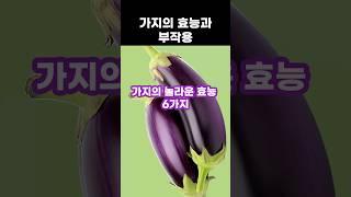 가지의 6가지 효능과 부작용 [upl. by Laina]