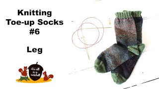 Knitting Happy Toeup Socks Part 6  Leg [upl. by Sevy]