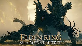 Elden Ring Shadow of The Erdtree  Scadutree Avatar Boss Fight [upl. by Alban541]