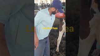 leukorrhea treatmentdairyviral ytshorts [upl. by Eimmit]