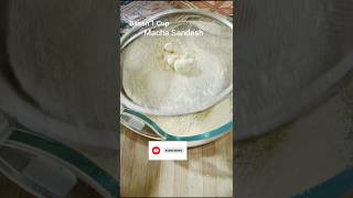 Bankura Macha Sandesh Recipe Bengalisweetshorts harjankaurkirasoi [upl. by Kenrick]