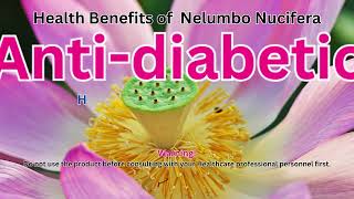 Health Benefits of Nelumbo Nucifera [upl. by Yboj]