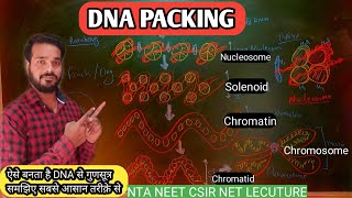 DNA Packing  DNA packing hindi  nucleosome  Solenoid model  Chromosome formation  NEET biology [upl. by Connett]