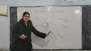 Water Vascular System in Starfish Explained by Meenu Maam  BSc [upl. by Adelia939]