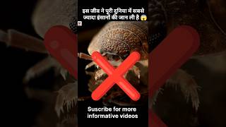 OMG😱 Insect are not safe for humans  shorts shortfeed trending facts [upl. by Keelin]