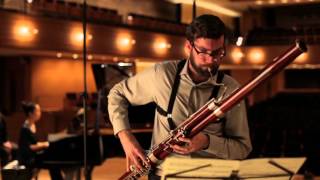 Darren Hicks bassoon player Profile [upl. by Aissat398]