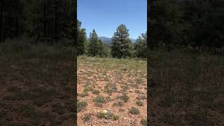 Upper Plateau  Tract V Colorado River Property For Sale [upl. by Aihsemat]