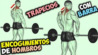 EJERCICIO Para TRAPECIOS ✔ Los ENCOGIMIENTOS De HOMBROS Con BARRA 👉 Gana ESPALDA Ancha [upl. by Druci]