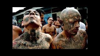 New Documentary 2017  World Toughest Prison  Gang Fight Prison [upl. by Eitsym]