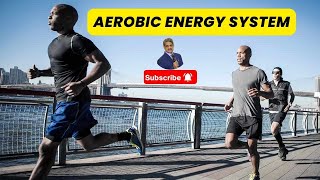 Aerobic Energy System [upl. by Anissej513]