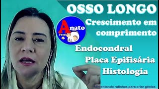 Ossificação  Parte 3  Como os ossos crescem em comprimento [upl. by Tandie752]