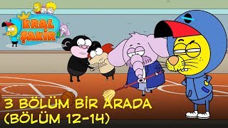 KRAL ŞAKİR 3 Bölüm Bir Arada  Çizgi Film [upl. by Kissiah]