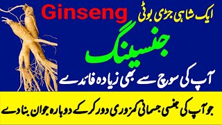 Ginseng benefits  How to use Ginseng  Ginseng Kay Fayde  Hakeem Farhan Niz [upl. by Aiket601]