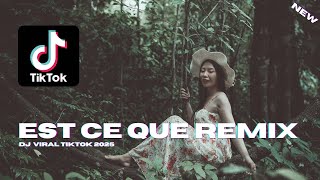 EST CE QUE REMIX VIRAL TIKTOK 2024 [upl. by Gnil137]