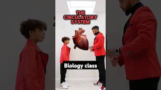 GCSE Biology  Circulatory System [upl. by Mosera]