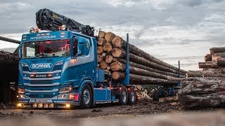 SCANIA R650 V8 NEXTGEN 🚚💨🌲 GRUMIER TRANSPORTS TOUMATRA [upl. by Lilybel]